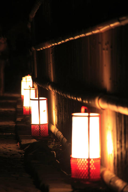 无人,栏杆,竖图,室外,夜晚,正面,美景,照明,京都,日本,亚洲,阴影,光线,灯笼,影子,纸灯笼,景观,围栏,走道,走廊,过道,灯光,护栏,自然,灯具,景色,京都府,照亮,照明设备,自然风光,东亚,本州,本州岛,日本国,近畿地方,近畿,岚山,彩图