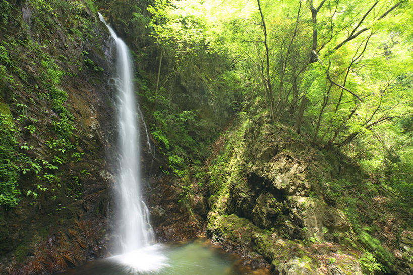 无人,横图,室外,白天,正面,旅游,度假,草地,草坪,石头,美景,瀑布,山,山脉,树林,水,植物,东京,日本,亚洲,阴影,飞溅,溅,光线,石子,液体,影子,景观,山峰,水滴,青苔,苔藓,山峦,娱乐,水珠,草,树,树木,绿色,阳光,自然,群山,享受,休闲,景色,放松,生长,成长,喷洒,自然风光,东亚,本州,关东地方,本州岛,日本国,东京都,跌水,石块,岩石,彩图,多摩地方,多摩地区,多摩地域,三多摩,西多摩郡