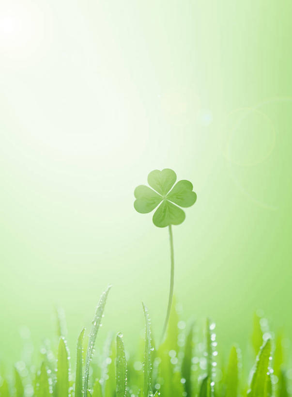 无人,竖图,室内,特写,白天,正面,自由,草地,草坪,植物,绿色背景,阴影,新鲜,反射,影子,四叶草,草,幸运草,绿色,摄影,影棚,青春,生命,和平,安详,牛角花,统一,冷色,团结,幸运,彩图,影棚拍摄,拍摄