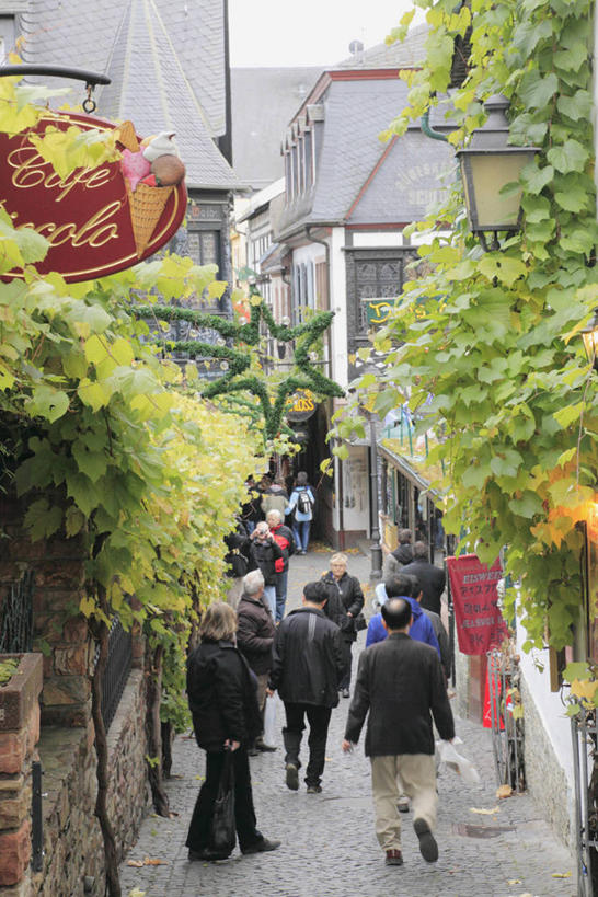 西方人,家,站,走,竖图,室外,白天,度假,美景,植物,城市风光,城市,道路,路,德国,欧洲,欧洲人,行人,阴影,服装,光线,影子,房屋,屋子,景观,公寓,小路,交通,许多人,注视,休闲装,娱乐,洋房,楼房,路人,住宅,树,树木,背面,衣服,绿色,阳光,自然,观察,看,站着,一群人,享受,休闲,休闲服,景色,放松,服饰,生长,成长,观看,察看,西欧,关注,德意志联邦共和国,莱茵兰.普法尔茨州,过客,吕德斯海姆,男人,男性,女人,女性,中年男性,中年女性,白种人,步行,散步,站立,走路,彩图,全身,房子