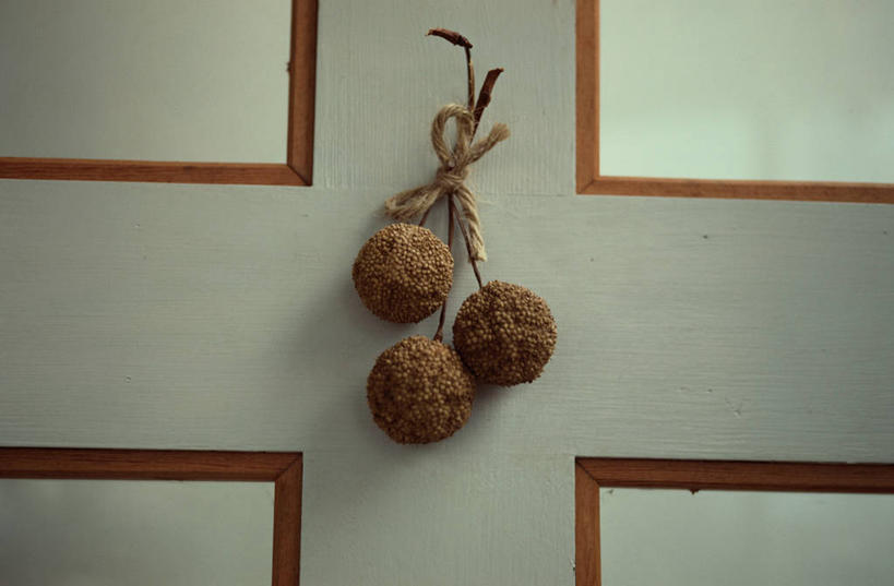 无人,横图,室内,特写,白天,正面,阴影,反射,影子,褐色,种子,三个,绳子,绳索,彩图