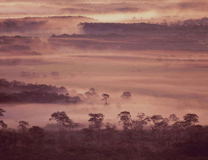 无人,横图,俯视,室外,白天,旅游,度假,日出,美景,太阳,植物,雾,北海道,日本,亚洲,朦胧,模糊,景观,朝霞,晨曦,黎明,娱乐,树,树木,绿色,阳光,自然,享受,休闲,景色,放松,生长,成长,迷雾,自然风光,东亚,日本国,北海道地方,北海道岛,钏路湿原,朝阳,大雾,彩图,高角度拍摄,卯时,破晓,日始,振兴局,钏路郡,钏路町,钏路综合振兴局,道东