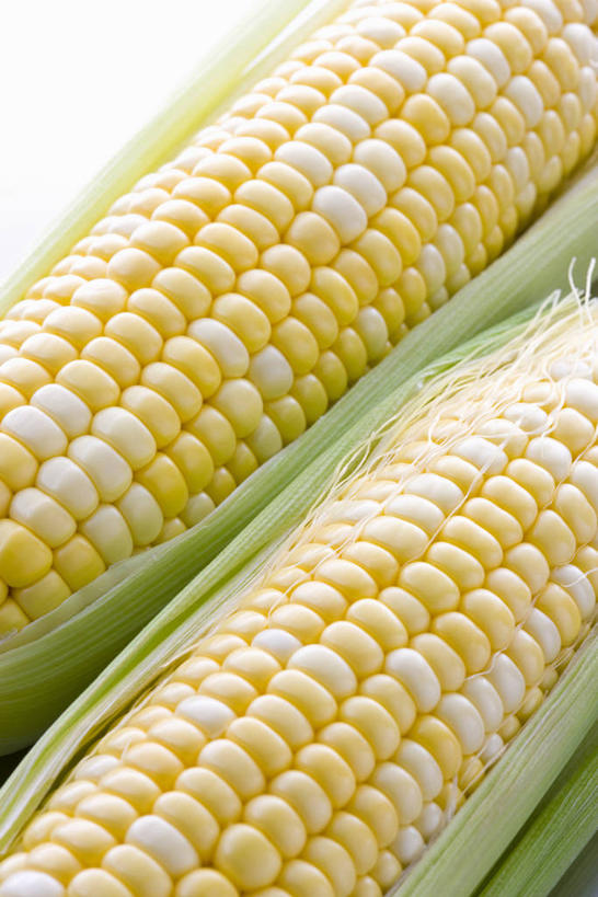 无人,竖图,俯视,室内,特写,白天,白色背景,玉米,蔬菜,阴影,新鲜,反射,棒子,影子,玉蜀黍,食品,食物,两个,黄色,摄影,有机食品,绿色食品,影棚,苞米,苞芦,苞谷,包谷,大蜀黍,番麦,薏米包,玉高粱,玉麦,珍珠米,彩图,高角度拍摄,影棚拍摄,拍摄,甜玉米