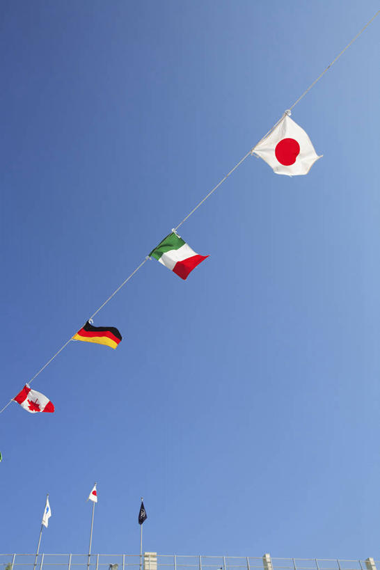 无人,竖图,室外,白天,仰视,旗帜,国旗,一排,许多,阴影,整齐,飘扬,光线,日本国旗,影子,很多,排列,蓝色,蓝天,天空,阳光,天,晴朗,飘逸,队列,飞扬,加拿大国旗,万里无云,意大利国旗,德国国旗,旗,晴空,晴空万里,彩图,低角度拍摄,日章旗,三色旗,枫叶旗