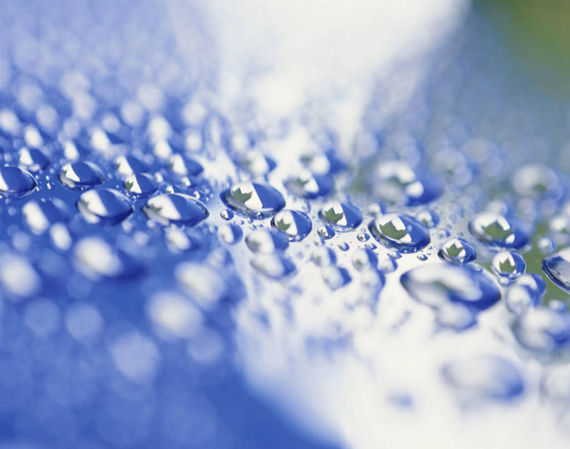 无人,横图,室外,特写,白天,正面,美景,水,阴影,朦胧,模糊,透明,光线,液体,影子,景观,水滴,阳光,自然,景色,自然风光,通透,彩图