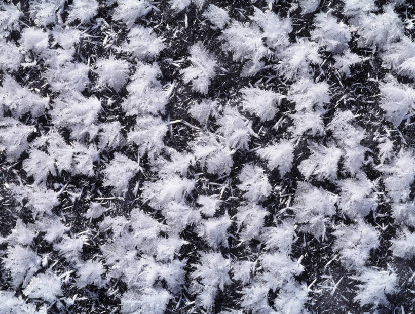 无人,横图,俯视,室外,特写,白天,吊挂,悬挂,清澈,地面,挂,霜,寒冷,冰冷,严寒,冰凉,酷寒,凛冽,凛凛,极冷,清亮,彩图,高角度拍摄