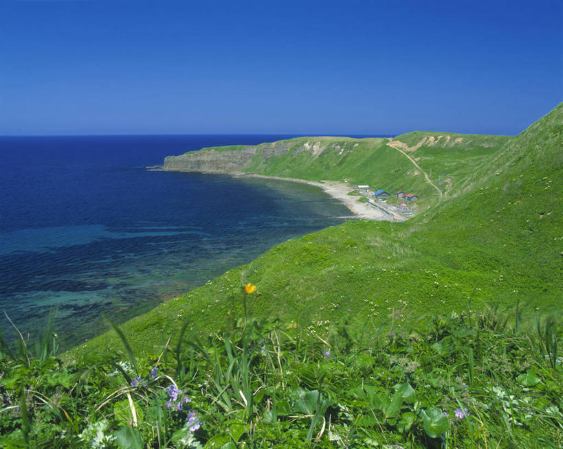 无人,横图,室外,白天,正面,旅游,度假,海浪,海洋,美景,山,山脉,植物,北海道,日本,亚洲,阴影,光线,影子,景观,浪花,山峰,水平线,云,云朵,辽阔,羽衣草,草药,药草,海平线,山峦,云彩,娱乐,中药,蓝色,白云,蓝天,天空,阳光,自然,海水,群山,天,享受,休闲,广阔,景色,放松,晴朗,一望无际,自然风光,药材,中草药,海景,东亚,中药材,本草,日本国,北海道地方,北海道岛,斗篷草,无边无际,一马平川,大海,风浪,海,海水的波动,近岸浪,涌浪,晴空,彩图,振兴局,礼文岛,礼文郡,礼文町,宗谷综合振兴局,水天相接,水天一线
