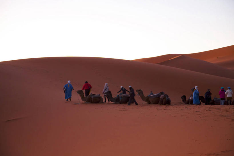 西方人,走,横图,室外,白天,侧面,民族服装,旅游,度假,美景,沙漠,野生动物,欧洲,非洲,摩洛哥,欧洲人,行人,阴影,光线,影子,景观,许多人,注视,娱乐,骆驼,路人,蓝色,蓝天,天空,阳光,自然,动物,天,观察,看,一群人,享受,休闲,景色,放松,运输,晴朗,观看,察看,关注,自然风光,万里无云,沙漠之舟,阿非利加洲,单峰骆驼,摩洛哥王国,过客,男人,男性,年轻男性,年轻女性,女人,女性,白种人,大漠,砂漠,晴空,晴空万里,步行,散步,走路,半身,彩图,传统服装,民俗服,撒哈拉沙丘