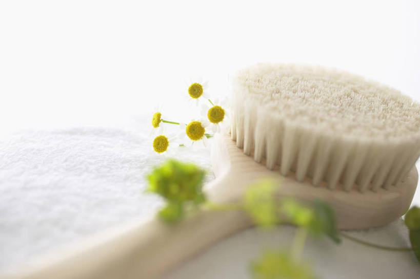 无人,横图,俯视,室内,特写,白天,白色背景,阴影,朦胧,模糊,盛开,反射,影子,花蕾,花,花瓣,花朵,鲜花,刷子,花苞,花蕊,摄影,甘菊,影棚,沐浴刷,清洁用具,杭菊花,高尚,杭白菊,洗浴用具,彩图,高角度拍摄,影棚拍摄,拍摄