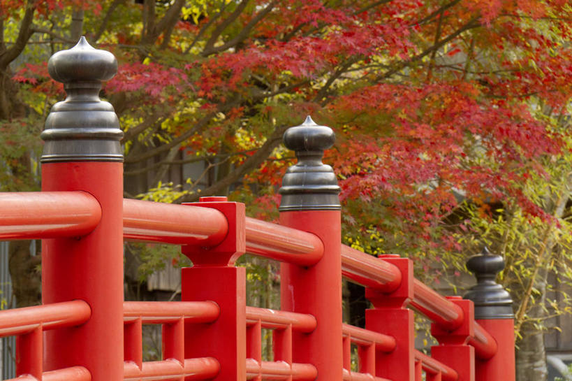 无人,栏杆,横图,室外,白天,正面,旅游,度假,名胜古迹,秋季,植物,标志建筑,地标,建筑,桥梁,叶子,静冈县,日本,亚洲,阴影,遗迹,光线,扶手,影子,桥,枯叶,落叶,枝条,古迹,文物,娱乐,建设,古建筑,石桥,护栏,拱桥,树,树木,树枝,绿色,阳光,自然,享受,休闲,旅游胜地,放松,拱形,生长,成长,人行桥,石拱桥,古文明,东亚,本州,本州岛,日本国,中部地方,静冈,虬枝,枝杈,伊豆半岛,叶,叶片,秋,秋天,彩图,伊豆市,修善寺