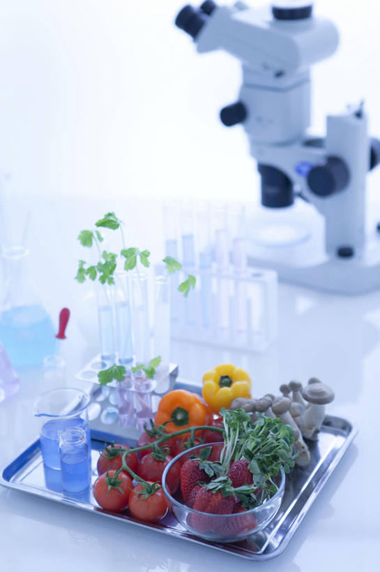 无人,竖图,俯视,室内,特写,白天,仪器,桌面,桌子,蔬菜,西红柿,小番茄,阴影,检查,朦胧,模糊,新鲜,反射,分析,科学,显微镜,影子,实验室,研究室,食品,食物,观察,清晰,探索,有机食品,绿色食品,放大,观看,仔细,透镜,凸透镜,聚焦,关注,工作台,试验室,光学,清楚,小西红柿,樱桃小番茄,珍珠小番茄,樱桃番茄,圣女果,番茄,彩图,高角度拍摄,实验台,实验桌