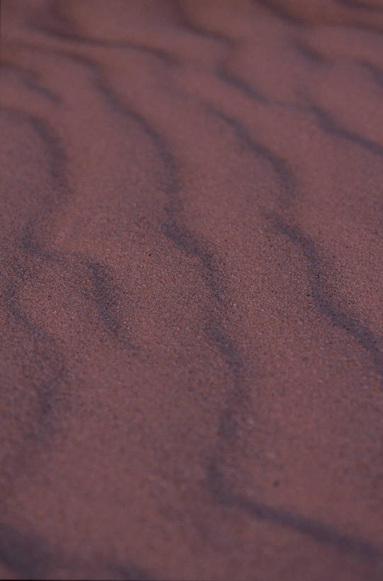 无人,竖图,俯视,室外,特写,白天,丰富,纹路,纹理,褐色,成熟,肌理,谦让,随和,彩图,高角度拍摄,全画面,全框架,全帧,全画幅