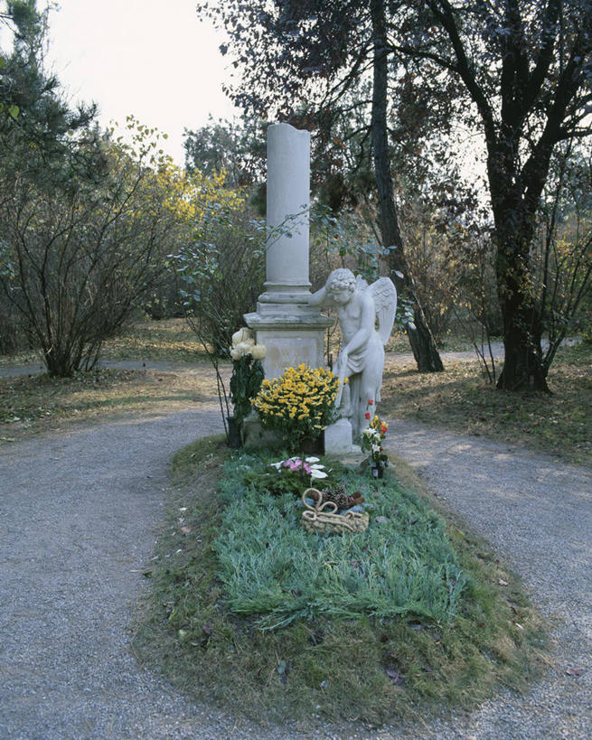 西方人,一个人,无人,站,竖图,室外,白天,正面,民族服装,草地,草坪,花海,花圃,树林,植物,道路,路,叶子,雕塑,奥地利,欧洲,维也纳,欧洲人,仅一个男性,仅一个人,艺术,装饰,盛开,雕刻,雕像,小路,交通,首都,花蕾,注视,草,花,花瓣,花朵,花卉,鲜花,树,树木,仅一个年轻男性,绿色,天空,自然,工艺品,花丛,花束,花田,天,花苞,花蕊,观察,看,站着,生长,成长,观看,纪念,美术,察看,关注,主题,陈列,中欧,莫扎特,功能,美学,奥地利共和国,沃尔夫冈.阿玛多伊斯.莫扎特,男人,男性,年轻男性,白种人,作曲家,站立,彩图,全身,传统服装,民俗服