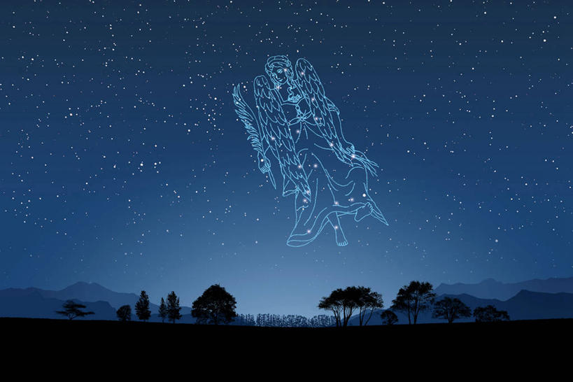 无人,横图,室内,夜晚,正面,数码,科技,草地,草坪,树林,植物,阴影,网络,星星,高光,几何,计算机图形,合成,草,树,树木,绿色,自然,健康,星座,生长,成长,电脑合成图,数码合成图,恒星,合成图,善良,占卜,写实,具体,具象,处女座,宽厚,仁慈,室女座,细心,彩图