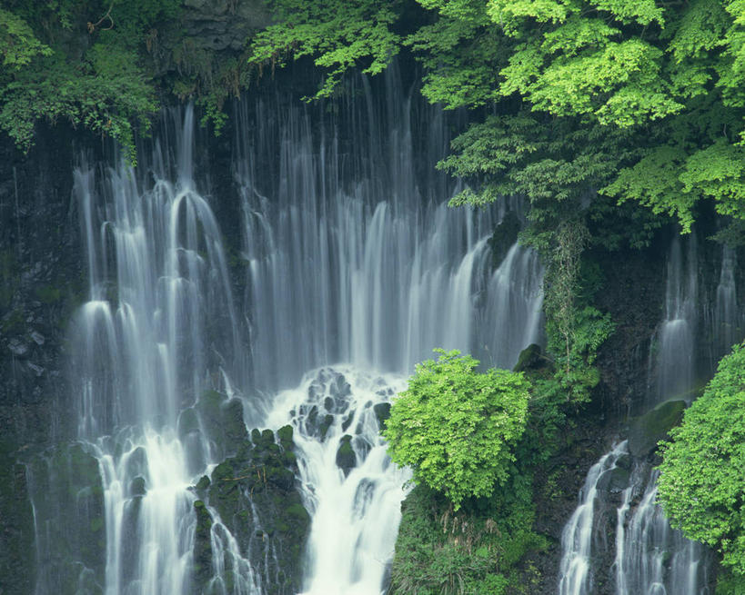 无人,横图,室外,白天,正面,旅游,度假,美景,瀑布,水,植物,长野县,日本,亚洲,阴影,飞溅,溅,光线,液体,影子,景观,水滴,娱乐,水珠,树,树木,绿色,阳光,自然,享受,休闲,景色,放松,生长,成长,喷洒,自然风光,东亚,本州,本州岛,日本国,中部地方,长野,轻井泽,轻井泽町,白丝瀑布,跌水,彩图,北佐久郡