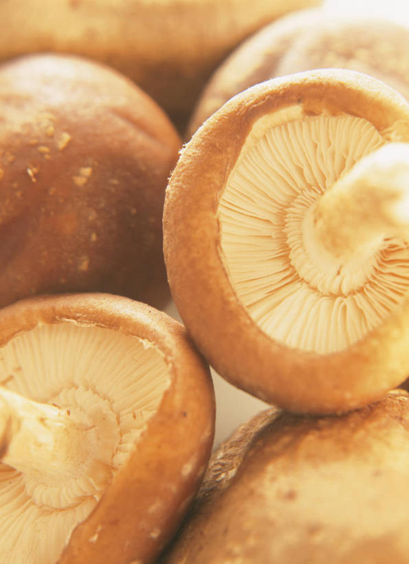 无人,竖图,俯视,室内,特写,白天,蔬菜,一堆,许多,阴影,堆叠,堆积,朦胧,模糊,新鲜,反射,影子,菌菇,香菇,食品,褐色,很多,菌类,食物,食用菌,摄影,有机食品,绿色食品,影棚,堆,真菌,椎茸,彩图,高角度拍摄,影棚拍摄,拍摄,平庄菇,香菌,香蕈