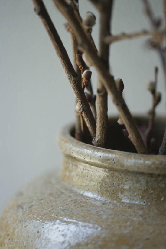 无人,竖图,室内,特写,白天,正面,智慧,花瓶,阴影,艺术,反射,影子,陶瓷,枝条,陶瓷制品,文化,树枝,一个,插花,瓶子,单个,插花艺术,创造,创作,想象,虬枝,枝杈,彩图