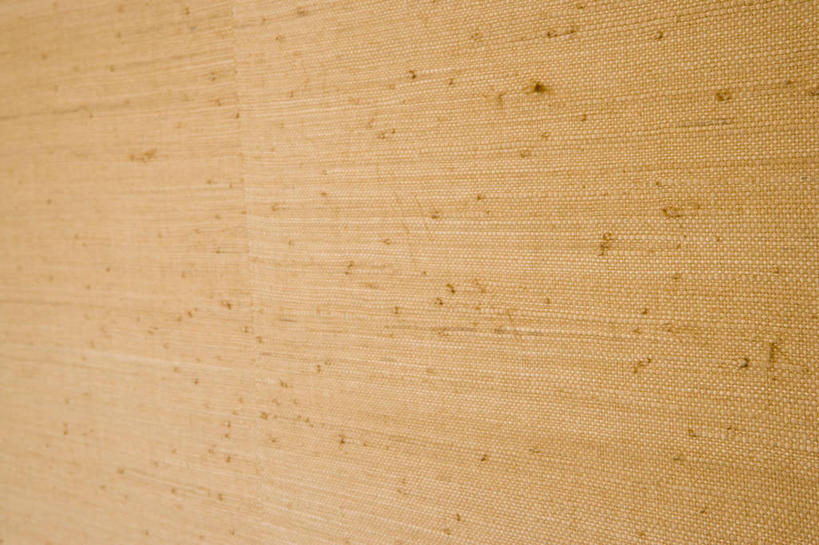 无人,横图,室内,特写,白天,正面,静物,墙,褐色,浪漫,墙壁,墙面,温暖,米色,清爽,优雅,高贵,米白色,含蓄,纯净,大气,彩图,内敛