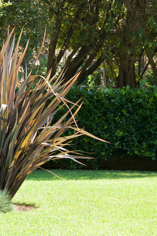 无人,竖图,室外,白天,正面,草地,草坪,美景,植物,阴影,环保,光线,影子,景观,防护,草,树,树木,绿色,阳光,自然,景色,生长,成长,美好,美妙,自然风光,间隔,美观,雅观,绿篱,生篱,树篱,植篱,彩图