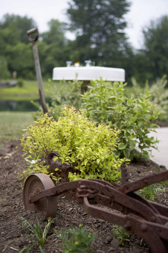 无人,竖图,室外,白天,正面,草地,草坪,美景,树林,植物,阴影,光线,影子,耕田,景观,草,树,树木,蓝色,绿色,蓝天,天空,阳光,自然,天,景色,生长,晴朗,成长,自然风光,种田,农具,犁,万里无云,耕具,晴空,晴空万里,彩图