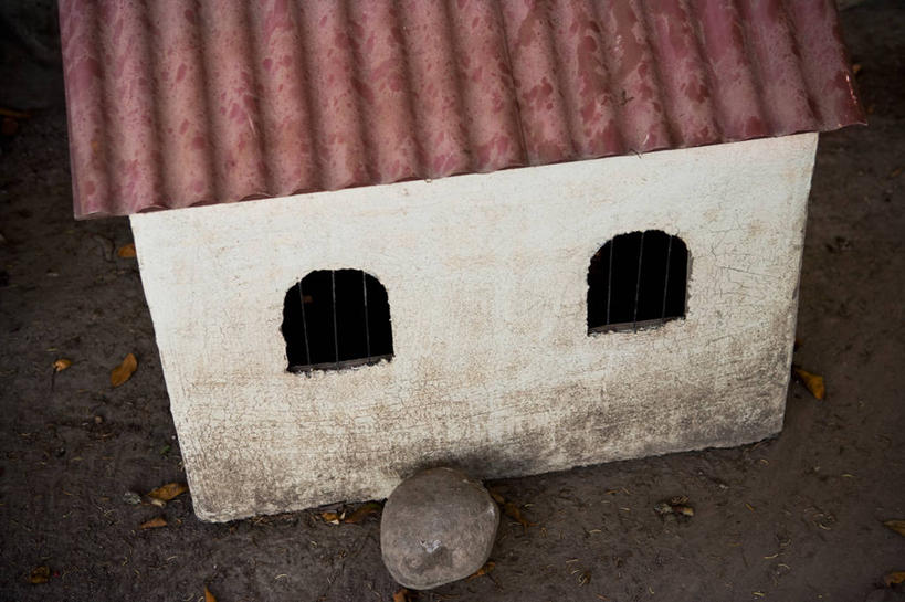 无人,家,横图,俯视,室内,特写,白天,静物,阴影,朦胧,模糊,反射,瓦片,影子,房屋,墙,屋子,瓦,楼房,墙壁,墙面,住宅,瓦房,屋瓦,彩图,高角度拍摄,房子