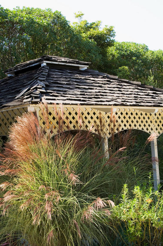 无人,竖图,室外,白天,正面,美景,植物,桥梁,盛开,景观,桥,花蕾,石桥,拱桥,花,花瓣,花朵,鲜花,树,树木,绿色,白色,天空,自然,天,花苞,花蕊,景色,拱形,生长,成长,人行桥,石拱桥,自然风光,彩图