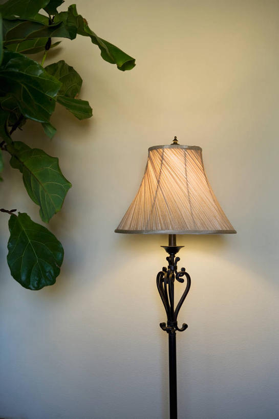 无人,竖图,室内,特写,白天,正面,植物,照明,阴影,光线,盆栽,影子,灯光,盆景,灯,树,树木,一个,绿色,自然,灯具,落地灯,生长,单个,成长,照亮,照明设备,盆景树,盆栽树,彩图