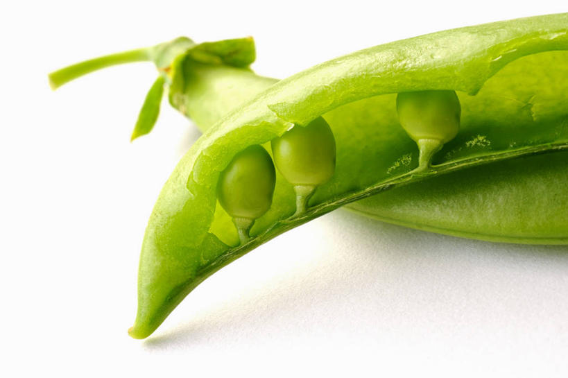 无人,横图,俯视,室内,特写,白天,白色背景,植物,餐桌,桌子,蔬菜,阴影,新鲜,反射,影子,豆类,豆子,豌豆,食品,荷兰豆,食物,两个,绿色,摄影,有机食品,绿色食品,影棚,餐台,雪豆,豆科,寒豆,毕豆,麻累,国豆,小寒豆,麦豌豆,彩图,高角度拍摄,影棚拍摄,拍摄