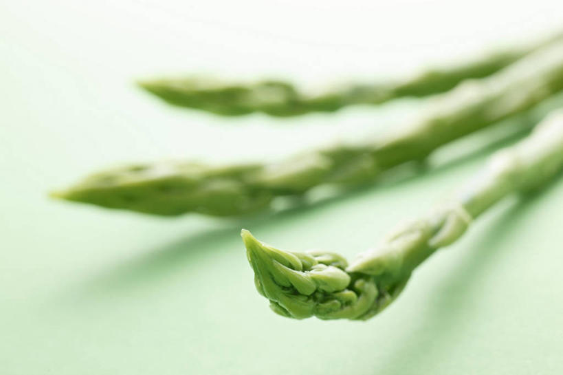 无人,横图,俯视,室内,特写,白天,餐桌,桌子,芦笋,蔬菜,三根,绿色背景,阴影,朦胧,模糊,新鲜,反射,影子,食品,食物,绿色,摄影,有机食品,绿色食品,影棚,餐台,猪尾巴,药鸡豆子,石刁柏,蚂蚁杆,龙须菜,狼尾巴根,彩图,高角度拍摄,影棚拍摄,拍摄