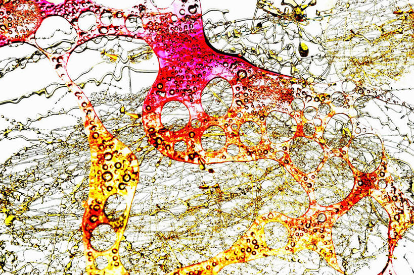 无人,横图,俯视,彩色,室内,特写,白天,白色背景,阴影,反射,粘稠,影子,调料,糖,调味品,凌乱,调味料,摄影,影棚,糖浆,五颜六色,色彩斑斓,混乱,五彩缤纷,黏稠,焦糖,五彩斑斓,浓厚,纷乱,缭乱,庞杂,五光十色,彩图,高角度拍摄,影棚拍摄,拍摄