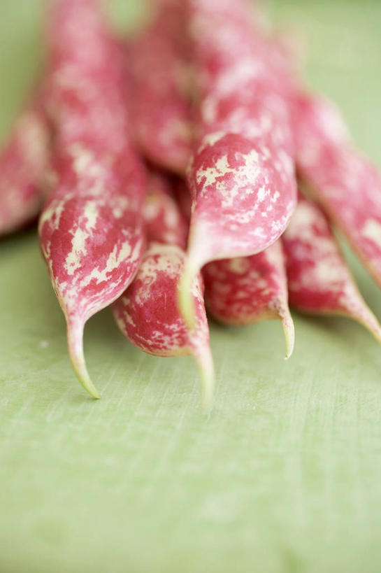 无人,竖图,俯视,室内,特写,白天,植物,桌面,桌子,豆,蔬菜,一堆,许多,绿色背景,阴影,堆叠,堆积,朦胧,模糊,新鲜,反射,木制,影子,豆类,豆子,食品,食物,红色,木制品,摄影,有机食品,绿色食品,影棚,堆,豆科,赤花蔓豆,红花菜豆,看花豆,彩图,高角度拍摄,影棚拍摄,拍摄