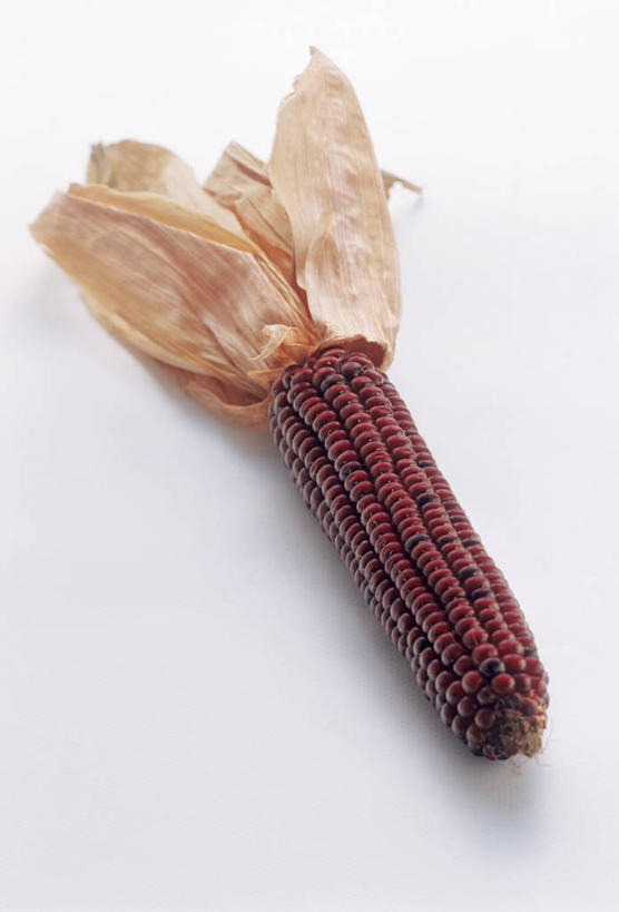 无人,竖图,俯视,室内,特写,白天,白色背景,玉米,餐桌,桌子,蔬菜,阴影,新鲜,反射,棒子,影子,玉蜀黍,食品,食物,一个,摄影,有机食品,绿色食品,影棚,单个,餐台,苞米,苞芦,苞谷,包谷,大蜀黍,番麦,薏米包,玉高粱,玉麦,珍珠米,彩图,高角度拍摄,影棚拍摄,拍摄