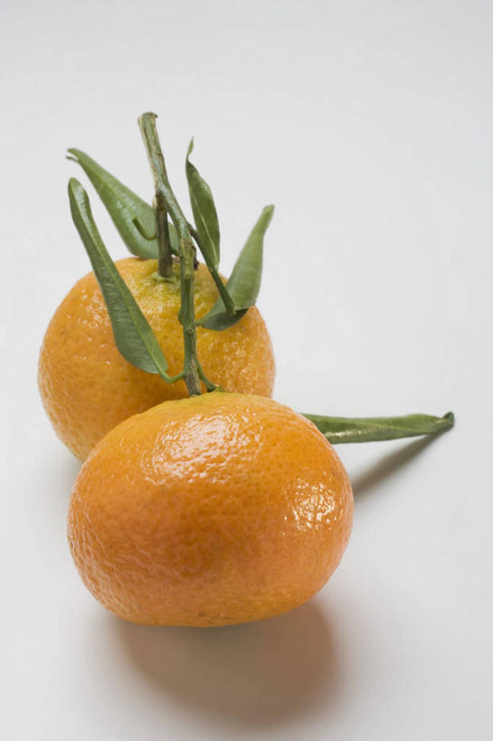 无人,竖图,俯视,室内,特写,白天,白色背景,餐桌,桌子,柑橘,水果,叶子,阴影,新鲜,反射,影子,生食,食品,果实,绿叶,食物,两个,橙色,嫩叶,摄影,有机食品,绿色食品,影棚,餐台,叶,叶片,橘子,桔子,橙子,橙,彩图,高角度拍摄,影棚拍摄,拍摄