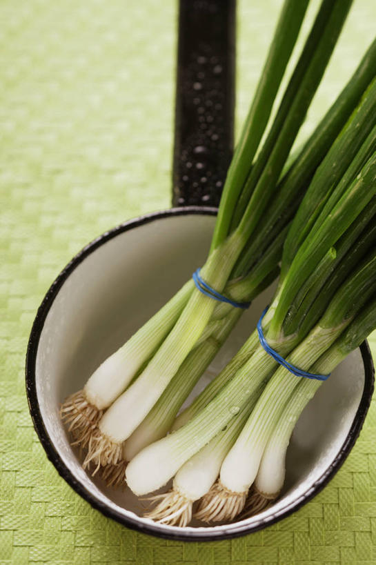 无人,竖图,俯视,室内,特写,白天,烹饪,蔬菜,厨具,金属制品,绿色背景,阴影,新鲜,反射,金属,锅子,影子,葱,大葱,青葱,食品,锅,食物,一个,绳子,摄影,有机食品,绿色食品,影棚,单个,锅具,捆绑,绳索,烹饪用具,绑缚,烹调用具,烹调,彩图,高角度拍摄,影棚拍摄,拍摄