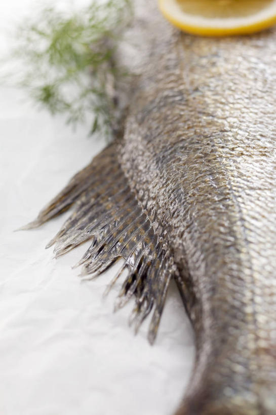 海鲜,无人,竖图,俯视,室内,特写,白天,白色背景,柠檬,水果,一条,阴影,朦胧,模糊,新鲜,反射,鱼,影子,生食,食品,果实,水产,鱼类,海洋生物,食物,摄影,有机食品,绿色食品,影棚,迷迭香,水生动物,海产品,水生物,海底动物,海洋之露,益母果,柠果,彩图,高角度拍摄,影棚拍摄,拍摄