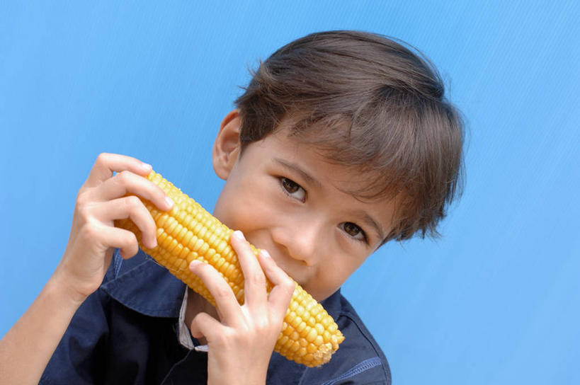 脸,头,脸颊,手,站,吃,横图,室内,特写,白天,正面,玉米,蔬菜,双手,握,阴影,蓝色背景,服装,新鲜,反射,棒子,影子,玉蜀黍,食品,拿,拿着,注视,休闲装,肩膀,食物,一个,衣服,蓝色,观察,看,站着,休闲,手部,休闲服,握着,摄影,服饰,有机食品,绿色食品,影棚,单个,观看,苞米,察看,关注,苞芦,苞谷,包谷,大蜀黍,番麦,薏米包,玉高粱,玉麦,珍珠米,头部,脸部,脸蛋,面部,嚼,食,站立,半身,彩图,影棚拍摄,拍摄