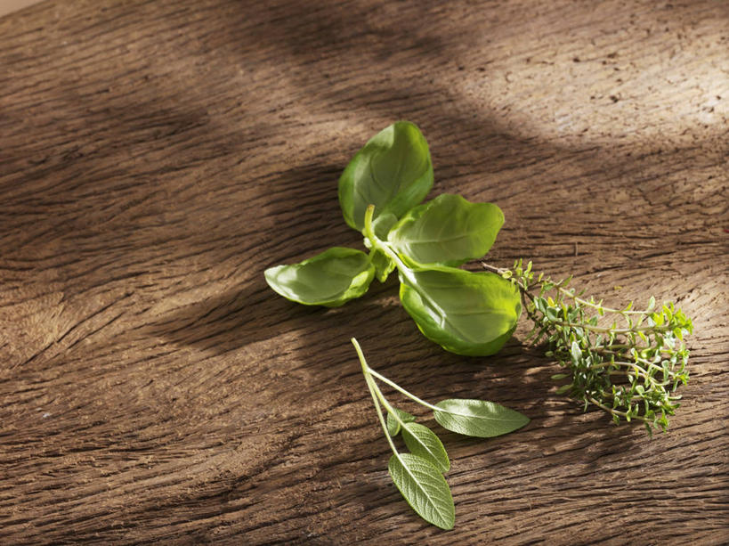 无人,家庭,横图,俯视,室内,特写,白天,智慧,植物,桌面,桌子,叶子,阴影,芳香,反射,木制,影子,香料,绿叶,草药,中药,木制品,香草,嫩叶,吉祥,百里香,罗勒,麝香草,鼠尾草,紫苏,药材,中草药,九层塔,圣约瑟夫草,甜罗勒,兰香,中药材,本草,如意,勇气,勇敢,理性,地椒,自尊,不屈,平安,叶,叶片,彩图,高角度拍摄