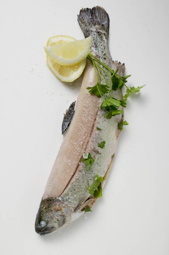 海鲜,无人,竖图,俯视,室内,特写,白天,白色背景,桌面,桌子,柠檬,芹菜,蔬菜,水果,阴影,新鲜,反射,木制,鱼,影子,调料,肉,生食,盐,鱼肉,食品,果实,调味品,调味料,水产,肉类,鱼类,食盐,海洋生物,食物,木制品,摄影,有机食品,绿色食品,荷兰芹,欧芹,香芹,影棚,水生动物,海产品,水生物,肉食,海底动物,法香,巴西利,洋香菜,洋芫荽,法国香菜,旱芹菜,番荽,益母果,柠果,彩图,高角度拍摄,全身,影棚拍摄,拍摄