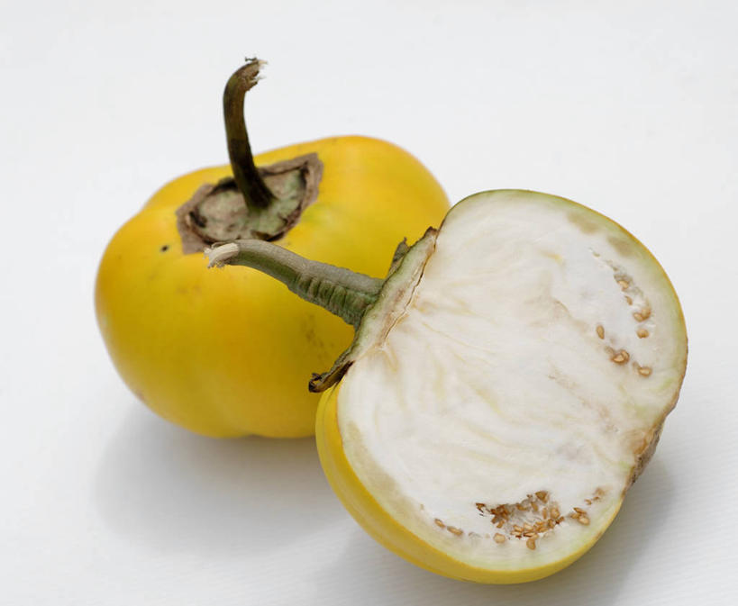 无人,横图,俯视,室内,特写,白天,白色背景,餐桌,桌子,茄子,蔬菜,切开,阴影,新鲜,反射,影子,食品,食物,两个,黄色,切,摄影,有机食品,绿色食品,影棚,餐台,剖面,切面,落苏,酪酥,昆仑瓜,矮瓜,彩图,高角度拍摄,影棚拍摄,拍摄