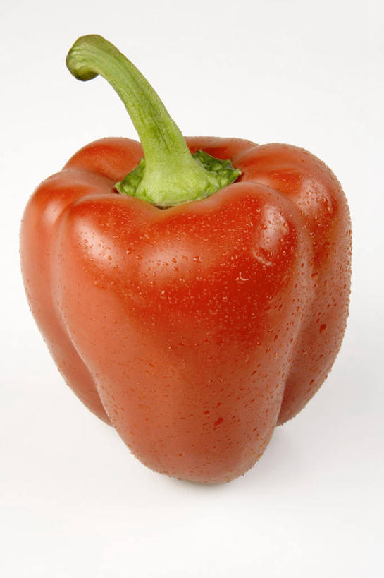 无人,竖图,俯视,室内,特写,白天,白色背景,餐桌,桌子,辣椒,蔬菜,阴影,新鲜,反射,影子,食品,食物,一个,红色,摄影,有机食品,绿色食品,影棚,单个,餐台,彩椒,辣角,红海椒,大椒,辣虎,广椒,甜椒,柿子椒,辣子,海椒,番椒,灯笼椒,彩图,高角度拍摄,影棚拍摄,拍摄