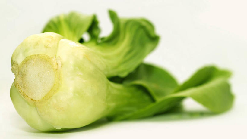 无人,横图,室内,特写,白天,白色背景,正面,餐桌,桌子,蔬菜,阴影,朦胧,模糊,新鲜,反射,影子,青菜,食品,食物,一个,摄影,有机食品,绿色食品,影棚,单个,餐台,小白菜,不结球白菜,彩图,影棚拍摄,拍摄