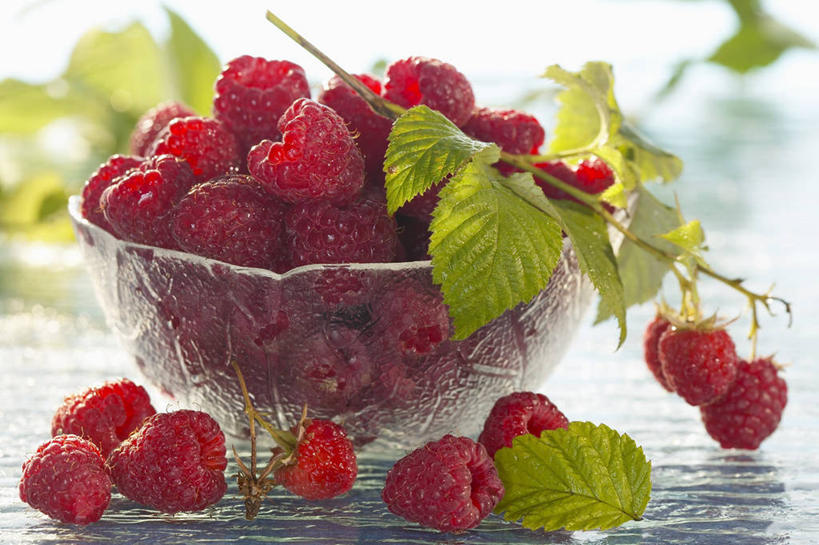 无人,横图,俯视,室内,特写,白天,餐桌,桌子,浆果,水果,叶子,玻璃,一堆,许多,阴影,堆叠,堆积,朦胧,模糊,新鲜,反射,影子,桑葚,生食,食品,果实,绿叶,玻璃制品,食物,一个,红色,容器,碗,覆盆子,嫩叶,摄影,有机食品,绿色食品,影棚,单个,餐台,储藏,堆,储存,叶,叶片,彩图,高角度拍摄,影棚拍摄,拍摄,贮存