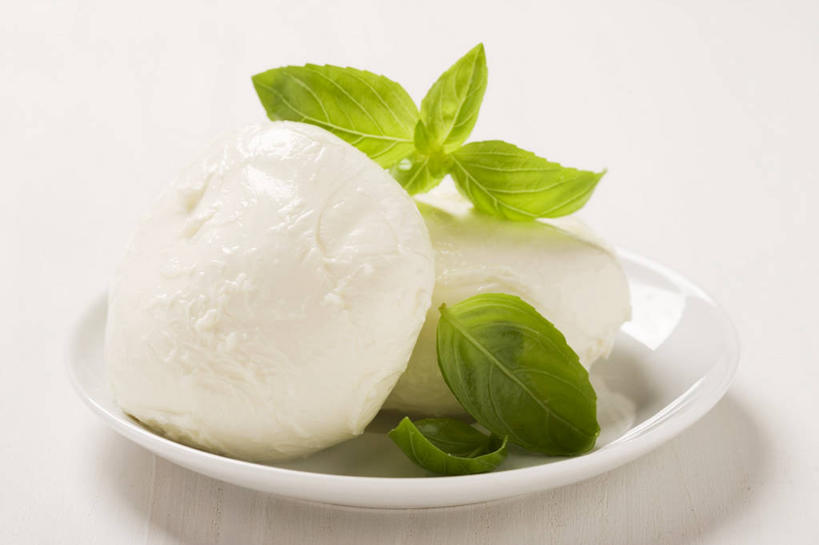 奶酪,无人,横图,俯视,室内,特写,白天,白色背景,植物,餐桌,桌子,餐具,叶子,两块,阴影,反射,碟子,盘,影子,香料,干酪,起司,绿叶,草药,芝士,营养,中药,白色,盘子,碟,香草,嫩叶,乳酪,摄影,影棚,餐台,罗勒,乳制品,紫苏,药材,中草药,发酵,九层塔,圣约瑟夫草,甜罗勒,兰香,中药材,本草,叶,叶片,彩图,高角度拍摄,影棚拍摄,拍摄