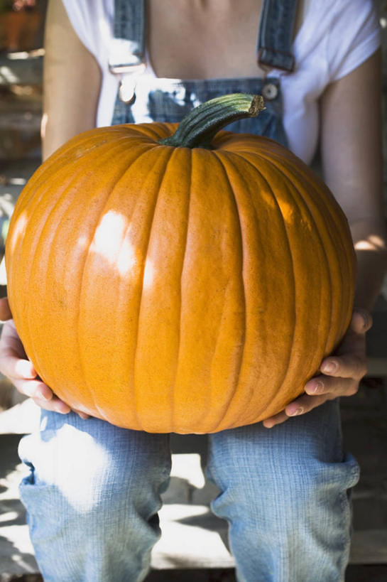 西方人,手,一个人,坐,捧,竖图,室外,特写,白天,正面,南瓜,蔬菜,欧洲,欧洲人,双手,仅一个年轻女性,仅一个女性,仅一个人,阴影,服装,朦胧,模糊,新鲜,光线,影子,金瓜,食品,休闲装,番瓜,食物,一个,衣服,阳光,休闲,手部,休闲服,橙色,服饰,有机食品,绿色食品,巨大,单个,麦瓜,倭瓜,年轻女性,女人,女性,白种人,端,端着,捧着,手捧,坐着,半身,彩图