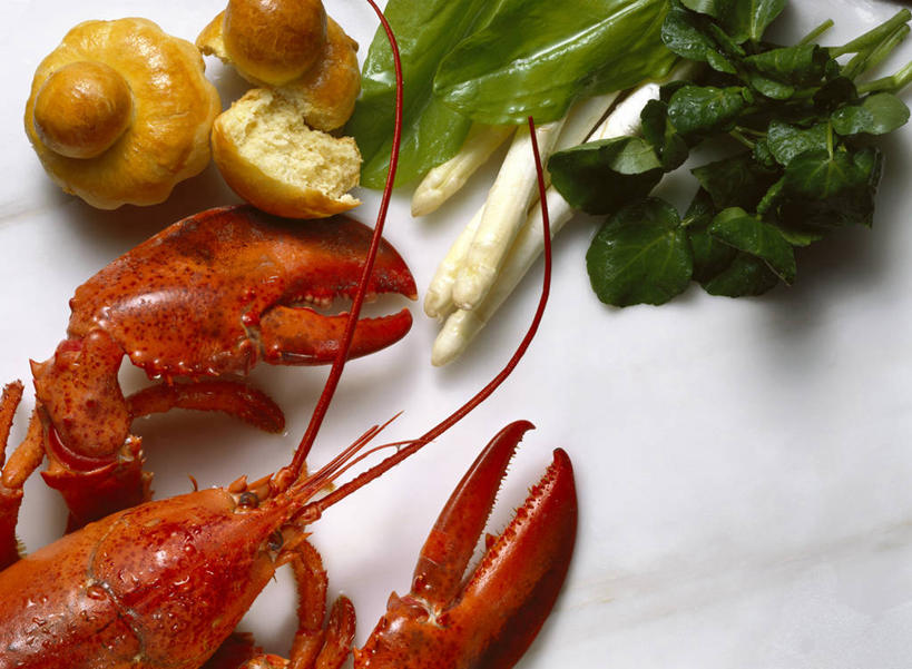 海鲜,龙虾,无人,横图,俯视,室内,特写,白天,白色背景,烹饪,西餐,餐桌,桌子,芹菜,蔬菜,阴影,新鲜,反射,影子,虾,料理,食品,水产,菜肴,美食,海洋生物,食物,西式,摄影,佳肴,有机食品,绿色食品,影棚,餐台,水生动物,海产品,水生物,海底动物,豆瓣菜,根芹菜,根洋芹,球根塘蒿,水蔊菜,水田芥菜,水茼蒿,西洋菜,药芹,水芹,旱芹,半身,彩图,高角度拍摄,影棚拍摄,拍摄