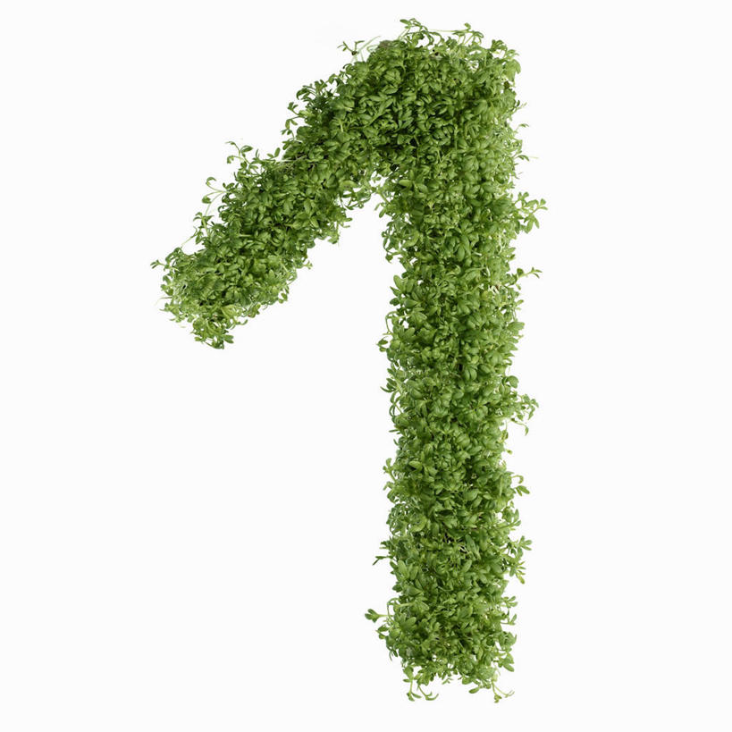 无人,方图,俯视,室内,特写,白天,白色背景,桌面,桌子,芹菜,蔬菜,叶子,阴影,新鲜,反射,木制,标志,数字,文字,影子,字符,食品,绿叶,标识,食物,木制品,嫩叶,摄影,阿拉伯数字,有机食品,绿色食品,影棚,根芹菜,根洋芹,球根塘蒿,叶,叶片,药芹,水芹,旱芹,彩图,高角度拍摄,影棚拍摄,拍摄