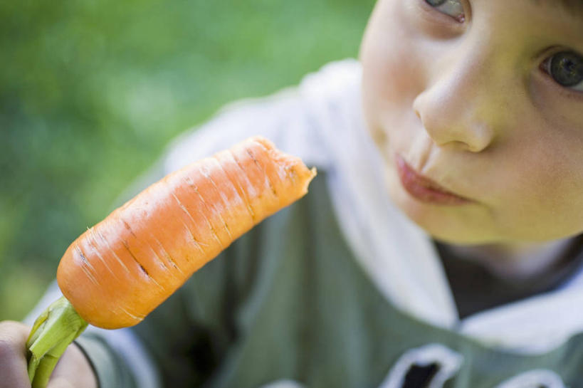 西方人,儿童,脸,头,脸颊,手,一个人,站,吃,横图,室外,特写,白天,正面,纯洁,萝卜,胡萝卜,蔬菜,叶子,欧洲,欧洲人,仅一个男性,仅一个人,握,阴影,服装,朦胧,模糊,新鲜,光线,影子,食品,绿叶,注视,休闲装,肩膀,食物,一个,小孩,衣服,阳光,观察,看,站着,仅一个小孩,休闲,手部,休闲服,橙色,连帽衫,嫩叶,可爱,童年,童趣,握着,服饰,有机食品,绿色食品,单个,观看,单手,察看,关注,帽衫,童真,烂漫,无邪,天真,男孩,男人,男性,白种人,孩子,头部,脸部,脸蛋,面部,叶,叶片,红萝卜,甘荀,嚼,食,站立,半身,彩图,男生