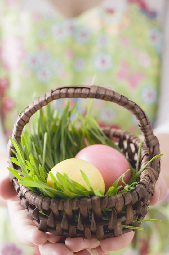 西方人,儿童,手,一个人,站,捧,交叉,竖图,俯视,室内,特写,白天,纯洁,竹子,叶子,欧洲,复活节,欧洲人,双手,仅一个女性,仅一个人,阴影,竹制,服装,节日,朦胧,模糊,庆祝,编织,反射,篮子,影子,蛋,绿叶,休闲装,文化,一个,小孩,衣服,竹篮,站着,仅一个小孩,庆典,休闲,手部,休闲服,嫩叶,可爱,童年,童趣,服饰,单个,纪念,竹条,交织,竹制品,彩蛋,童真,烂漫,无邪,复活节彩蛋,穿插,天真,女孩,女人,女性,白种人,孩子,叶,叶片,端,端着,捧着,手捧,站立,半身,彩图,高角度拍摄,女生