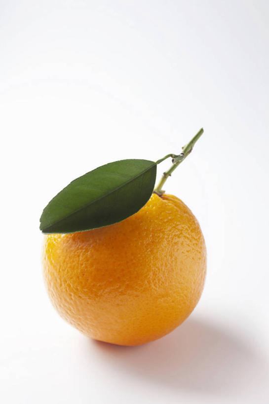 无人,竖图,俯视,室内,特写,白天,白色背景,餐桌,桌子,柑橘,水果,叶子,阴影,新鲜,反射,影子,生食,食品,果实,绿叶,食物,一个,橙色,嫩叶,摄影,有机食品,绿色食品,影棚,单个,餐台,叶,叶片,橘子,桔子,橙子,橙,彩图,高角度拍摄,影棚拍摄,拍摄