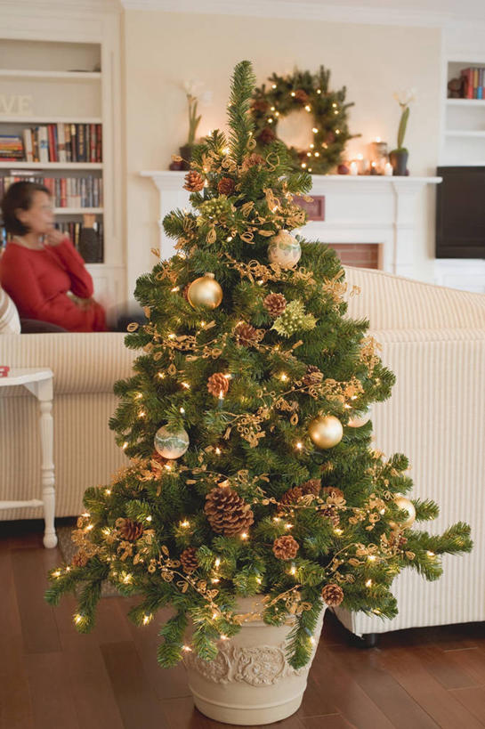 西方人,一个人,客厅,坐,竖图,室内,白天,侧面,植物,沙发,欧洲,圣诞节,欧洲人,仅一个年轻女性,仅一个女性,仅一个人,服装,节日,庆祝,装饰,挂饰,圣诞树,圣诞球,文化,球,树,树木,衣服,绿色,自然,庆典,球体,服饰,生长,成长,纪念,华丽,修饰,点缀,起居室,衣着,穿着,布艺沙发,衬托,美观,雅致,雅观,衣饰,客堂,年轻女性,女人,女性,白种人,坐着,半身,彩图